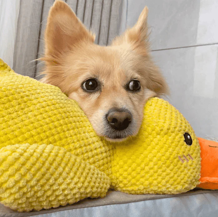 Vivahine® Calming Duck Toy (✔️ Non-Toxic Chew-Resistant Fabric)