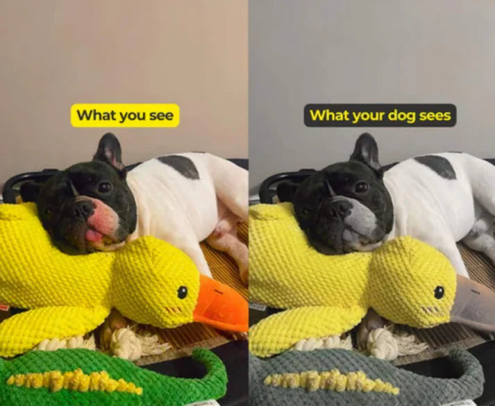 Vivahine® Calming Duck Toy (✔️ Non-Toxic Chew-Resistant Fabric)