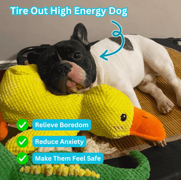 Vivahine® Calming Duck Toy (✔️ Non-Toxic Chew-Resistant Fabric)